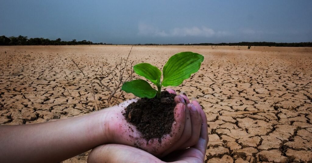 Why Replanting is Important - Nearth