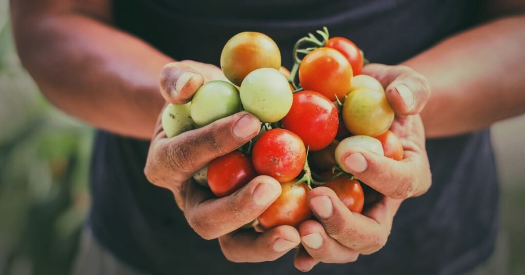 Sustainable Agriculture -  Nearth